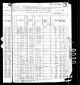 1880 United States Federal Census - Reuben Washington Miles and Presley Williams Families