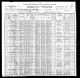 1900 United States Federal Census - William D Davis Family