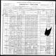 1900 United States Federal Census - Henry Grubbs Family