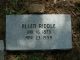 Headstone for Allen Riddle