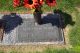 Headstone for Alvin Edward Routon