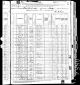 1880 United States Federal Census - William A Rodgers Family
