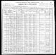 1900 United States Federal Census - Isaac Smith Arney and William O Arney Families