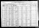 1920 United States Federal Census - August Blevins Family